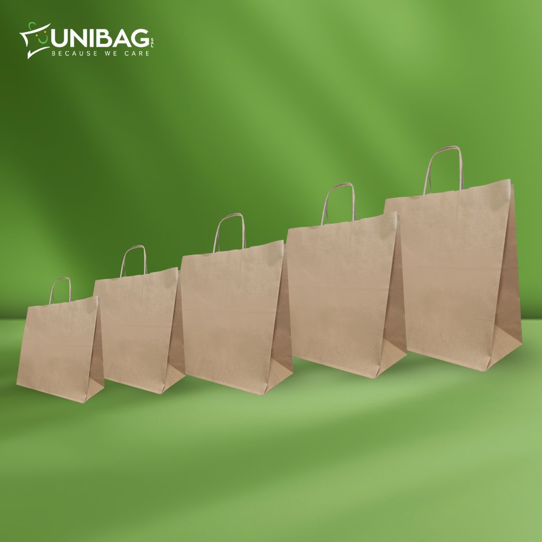 Brown Kraft Plain Bags with Twisted Handle