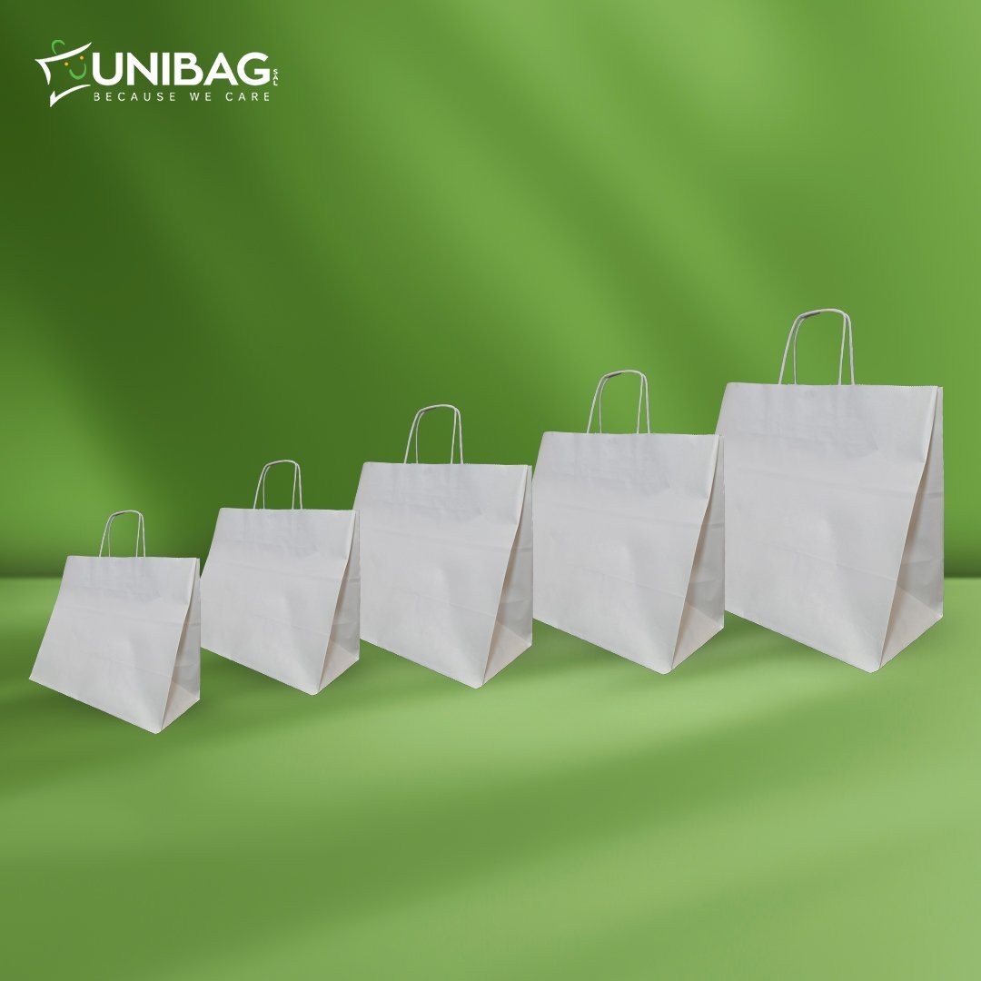 White Kraft Plain Bags with Twisted Handle